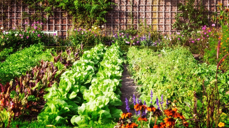 Potager connecté