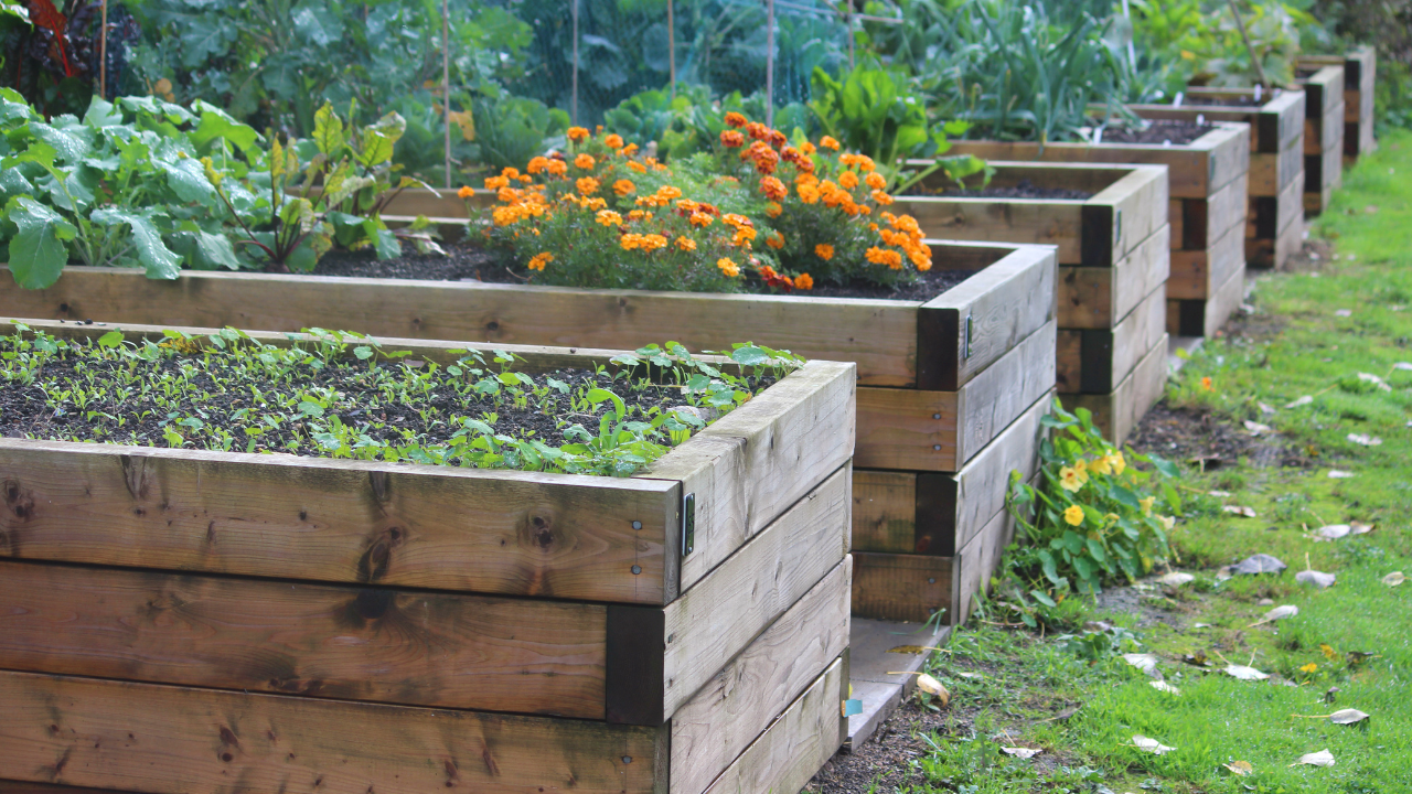 Potager connecté