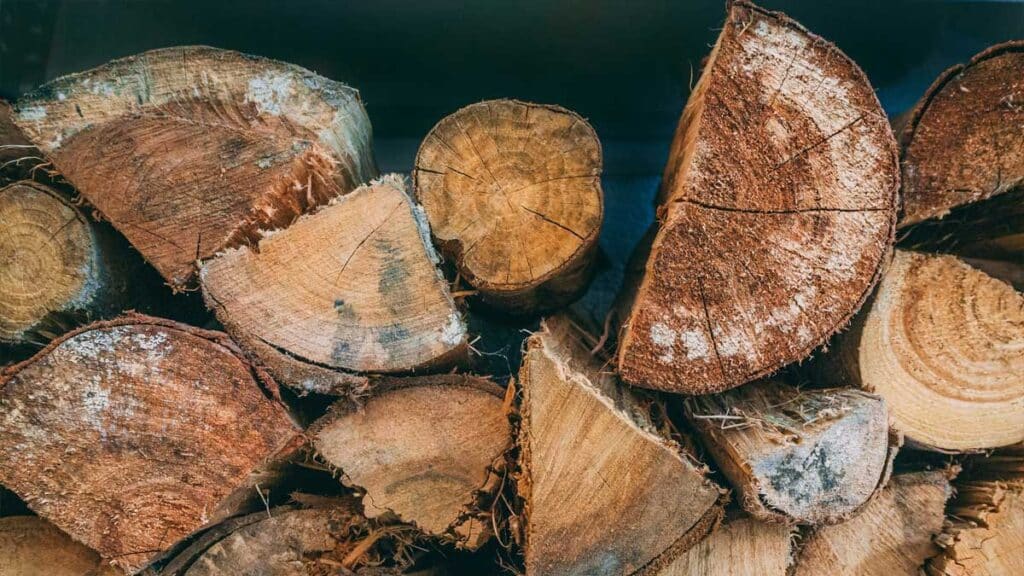 bois de chauffage : piles de bois sec empilées prêtes à l'utilisation