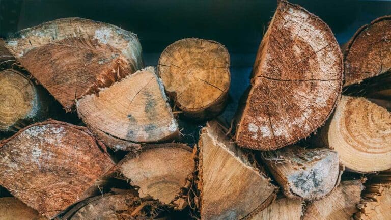 bois de chauffage : piles de bois sec empilées prêtes à l'utilisation