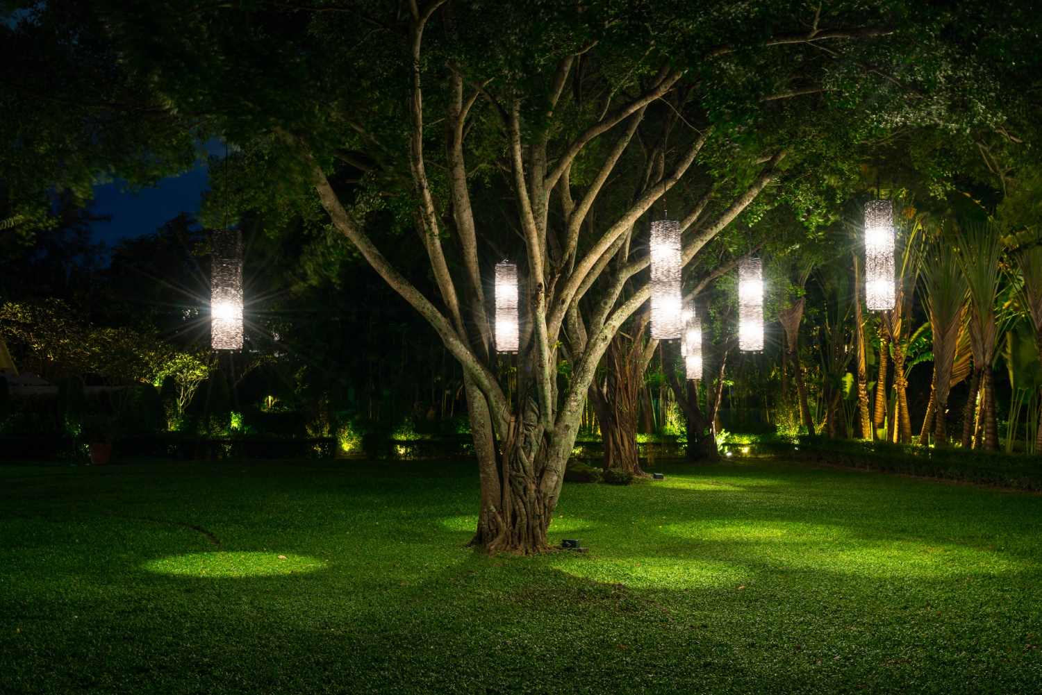 Des luminaires dans un jardin