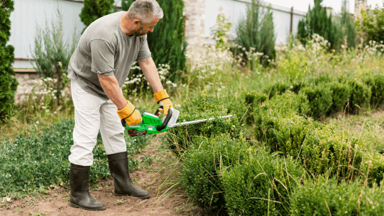 désherbage naturel : personne en train de désherber un jardin manuellement