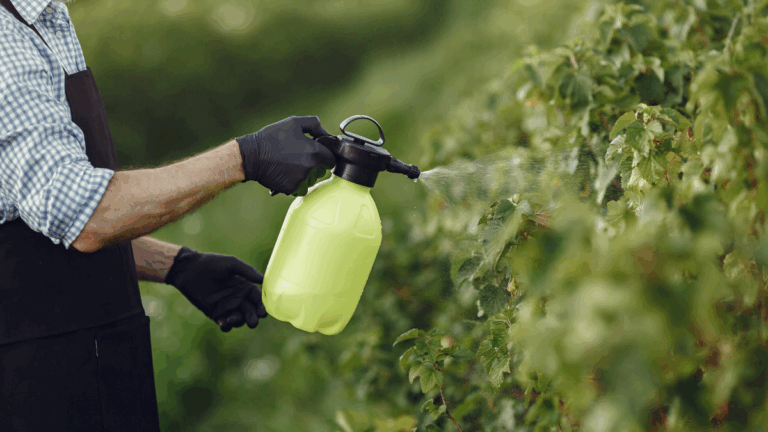 désherbant au sel : pot contenant un mélange de sel utilisé comme désherbant naturel