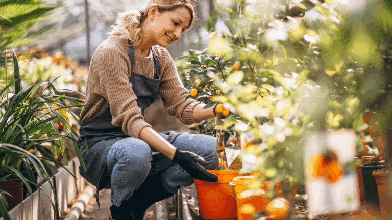 mini-verger fruitier : petit arbre fruitier en pot sur un balcon en ville