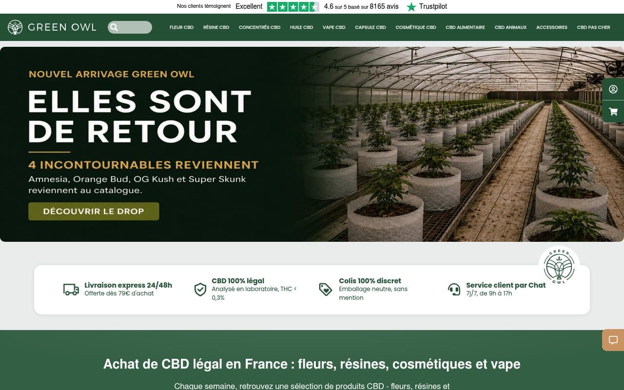 Apercu du site Green Owl